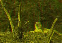 060505_Tierpark_Tiger01_rg.jpg