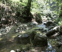 070609_PaehlerSchlucht_Wasser03_wb.gif