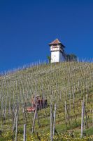 110418_Schwarzwald_6078.jpg